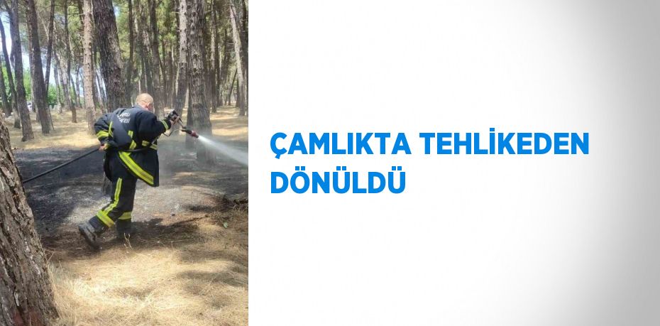 ÇAMLIKTA TEHLİKEDEN DÖNÜLDÜ