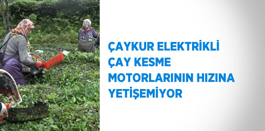 ÇAYKUR ELEKTRİKLİ ÇAY KESME MOTORLARININ HIZINA YETİŞEMİYOR