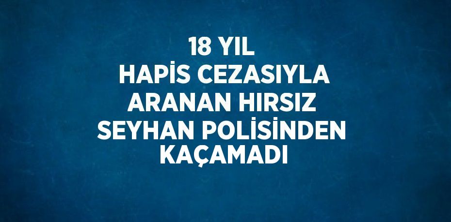 18 YIL HAPİS CEZASIYLA ARANAN HIRSIZ SEYHAN POLİSİNDEN KAÇAMADI