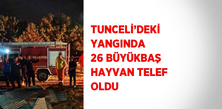 TUNCELİ’DEKİ YANGINDA 26 BÜYÜKBAŞ HAYVAN TELEF OLDU