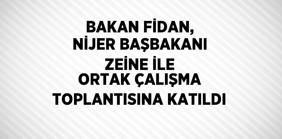 BAKAN FİDAN, NİJER BAŞBAKANI ZEİNE İLE ORTAK ÇALIŞMA TOPLANTISINA KATILDI