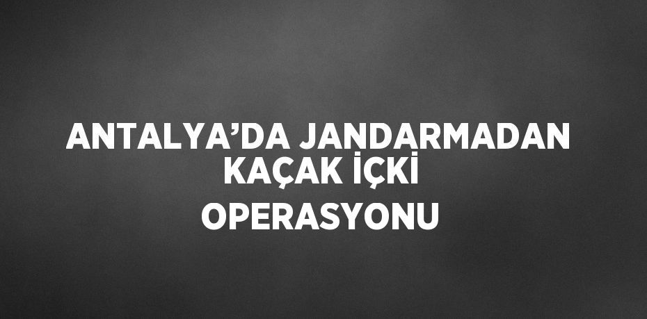 ANTALYA’DA JANDARMADAN KAÇAK İÇKİ OPERASYONU