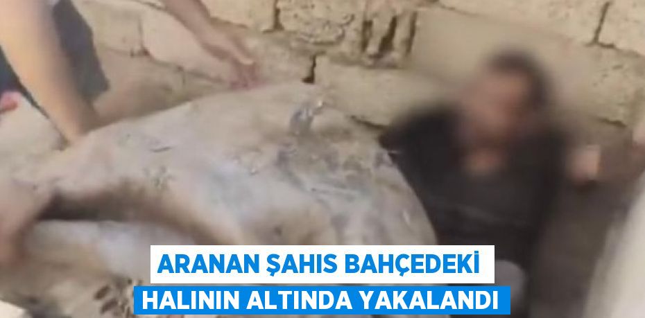 ARANAN ŞAHIS BAHÇEDEKİ HALININ ALTINDA YAKALANDI