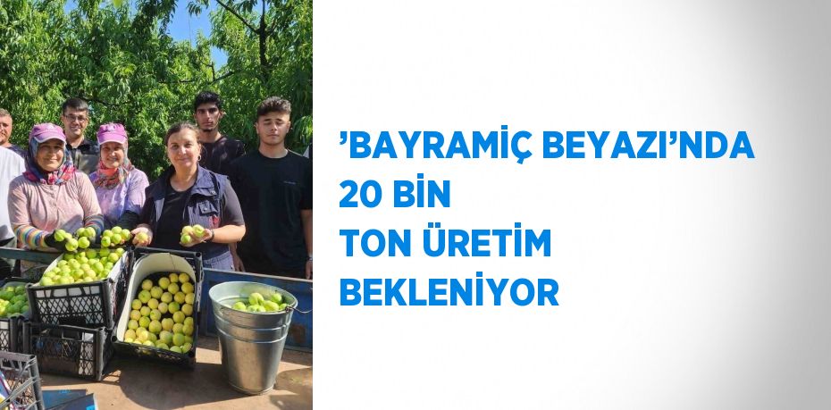 ’BAYRAMİÇ BEYAZI’NDA 20 BİN TON ÜRETİM BEKLENİYOR