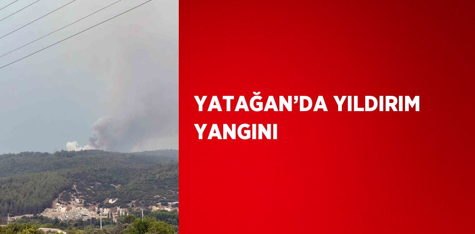 YATAĞAN’DA YILDIRIM YANGINI