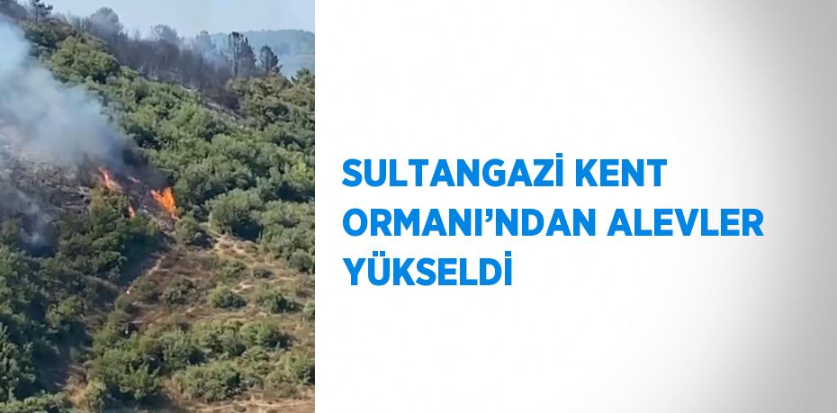 SULTANGAZİ KENT ORMANI’NDAN ALEVLER YÜKSELDİ