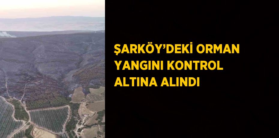 ŞARKÖY’DEKİ ORMAN YANGINI KONTROL ALTINA ALINDI