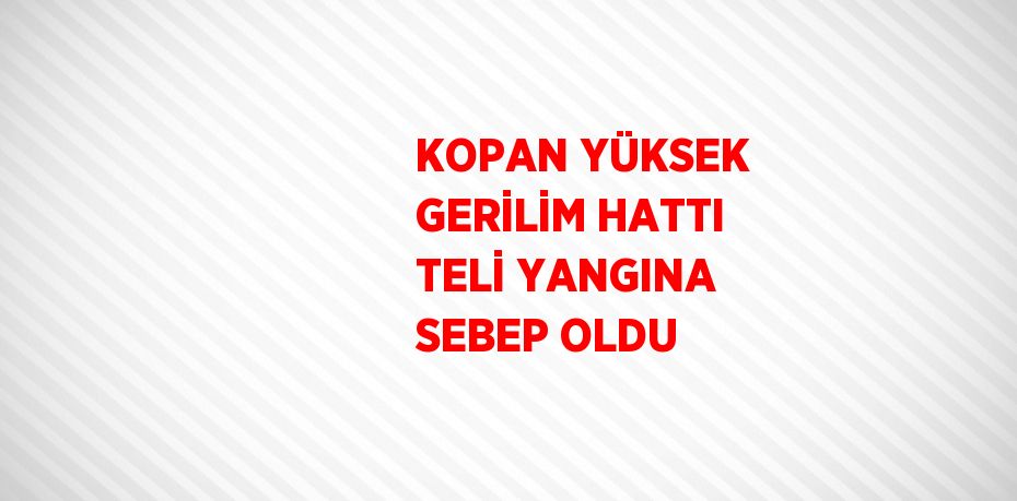 KOPAN YÜKSEK GERİLİM HATTI TELİ YANGINA SEBEP OLDU