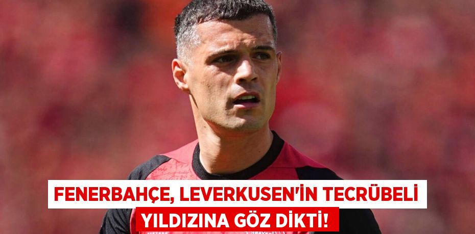 Fenerbahçe, Leverkusen'in Tecrübeli Yıldızına Göz Dikti!