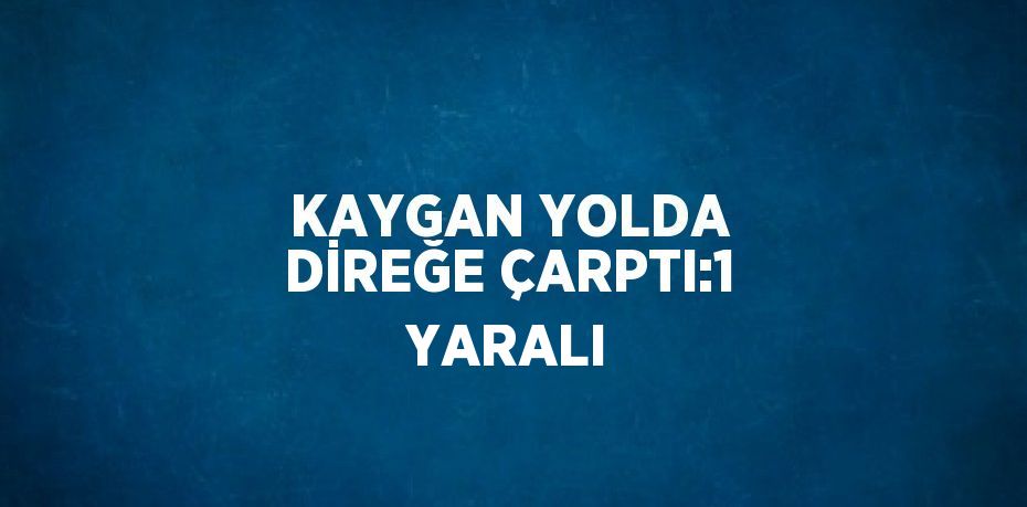 KAYGAN YOLDA DİREĞE ÇARPTI:1 YARALI