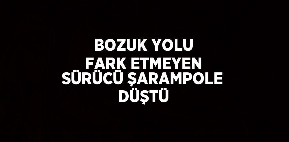 BOZUK YOLU FARK ETMEYEN SÜRÜCÜ ŞARAMPOLE DÜŞTÜ