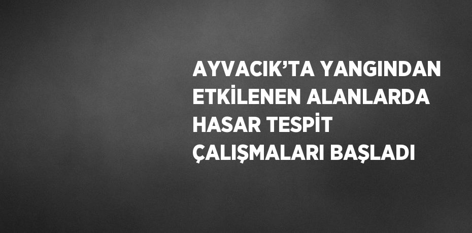 AYVACIK’TA YANGINDAN ETKİLENEN ALANLARDA HASAR TESPİT ÇALIŞMALARI BAŞLADI