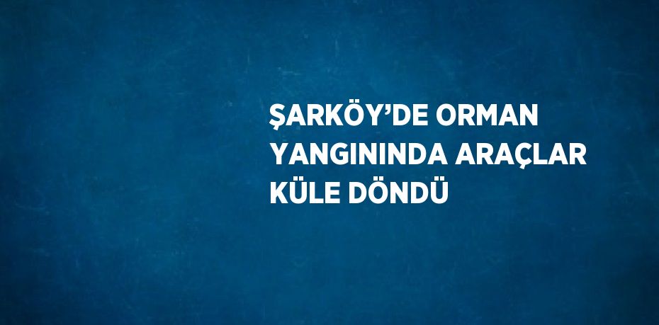 ŞARKÖY’DE ORMAN YANGININDA ARAÇLAR KÜLE DÖNDÜ