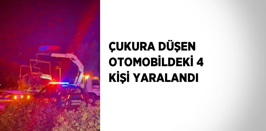 ÇUKURA DÜŞEN OTOMOBİLDEKİ 4 KİŞİ YARALANDI