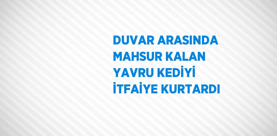 DUVAR ARASINDA MAHSUR KALAN YAVRU KEDİYİ İTFAİYE KURTARDI