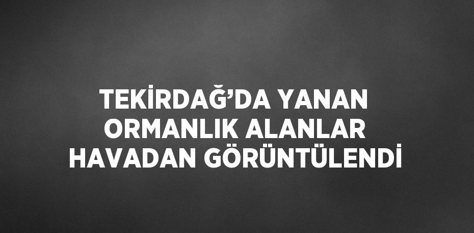 TEKİRDAĞ’DA YANAN ORMANLIK ALANLAR HAVADAN GÖRÜNTÜLENDİ