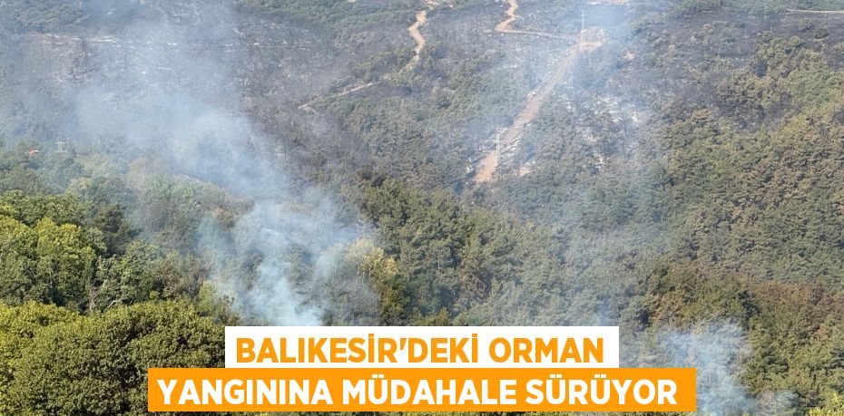 BALIKESİR'DEKİ ORMAN YANGININA MÜDAHALE SÜRÜYOR