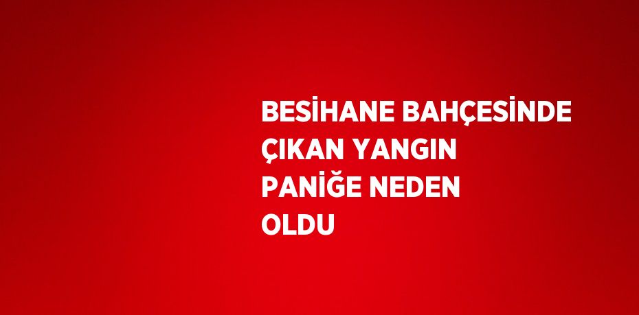 BESİHANE BAHÇESİNDE ÇIKAN YANGIN PANİĞE NEDEN OLDU