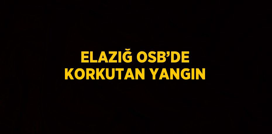 ELAZIĞ OSB’DE KORKUTAN YANGIN