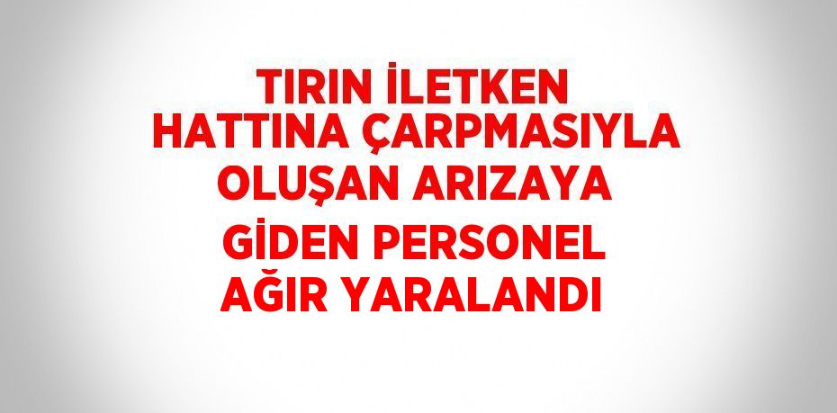 TIRIN İLETKEN HATTINA ÇARPMASIYLA OLUŞAN ARIZAYA GİDEN PERSONEL AĞIR YARALANDI