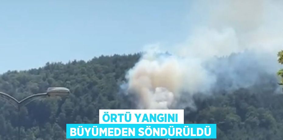 ÖRTÜ YANGINI BÜYÜMEDEN SÖNDÜRÜLDÜ