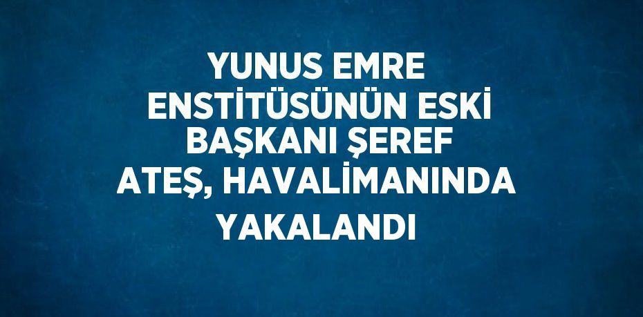 YUNUS EMRE ENSTİTÜSÜNÜN ESKİ BAŞKANI ŞEREF ATEŞ, HAVALİMANINDA YAKALANDI