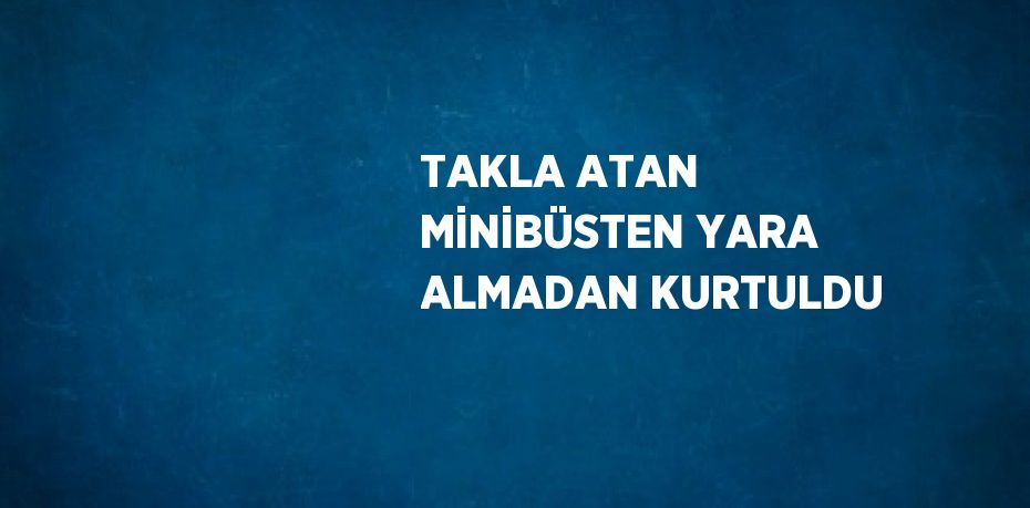 TAKLA ATAN MİNİBÜSTEN YARA ALMADAN KURTULDU