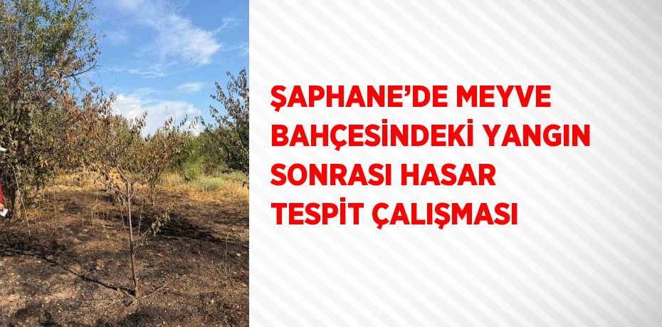 ŞAPHANE’DE MEYVE BAHÇESİNDEKİ YANGIN SONRASI HASAR TESPİT ÇALIŞMASI