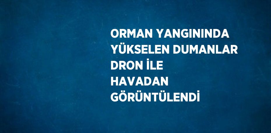 ORMAN YANGININDA YÜKSELEN DUMANLAR DRON İLE HAVADAN GÖRÜNTÜLENDİ