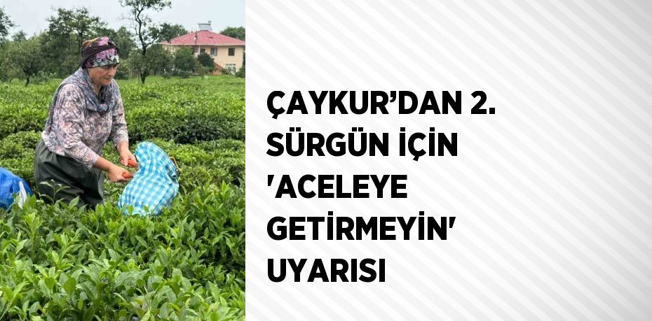 ÇAYKUR’DAN 2. SÜRGÜN İÇİN 'ACELEYE GETİRMEYİN' UYARISI