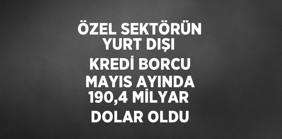 ÖZEL SEKTÖRÜN YURT DIŞI KREDİ BORCU MAYIS AYINDA 190,4 MİLYAR DOLAR OLDU