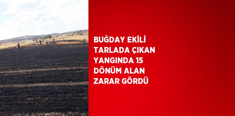 BUĞDAY EKİLİ TARLADA ÇIKAN YANGINDA 15 DÖNÜM ALAN ZARAR GÖRDÜ