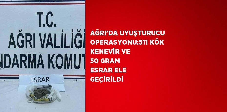AĞRI’DA UYUŞTURUCU OPERASYONU:511 KÖK KENEVİR VE 50 GRAM ESRAR ELE GEÇİRİLDİ
