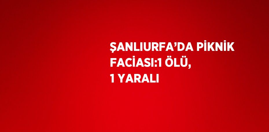 ŞANLIURFA’DA PİKNİK FACİASI:1 ÖLÜ, 1 YARALI
