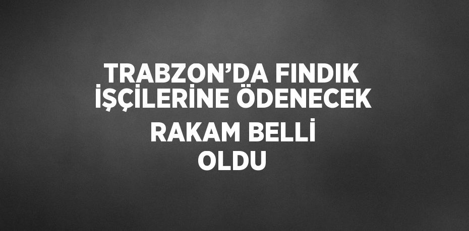 TRABZON’DA FINDIK İŞÇİLERİNE ÖDENECEK RAKAM BELLİ OLDU