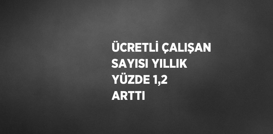 ÜCRETLİ ÇALIŞAN SAYISI YILLIK YÜZDE 1,2 ARTTI