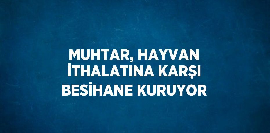 MUHTAR, HAYVAN İTHALATINA KARŞI BESİHANE KURUYOR
