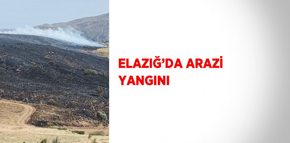 ELAZIĞ’DA ARAZİ YANGINI