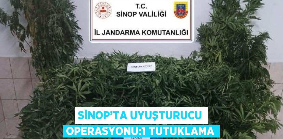 SİNOP’TA UYUŞTURUCU OPERASYONU:1 TUTUKLAMA