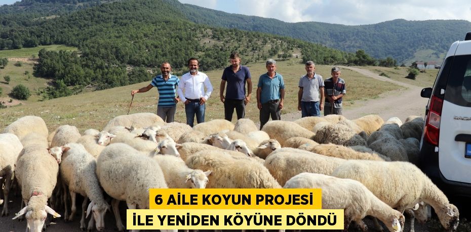 6 aile koyun projesi ile yeniden köyüne döndü