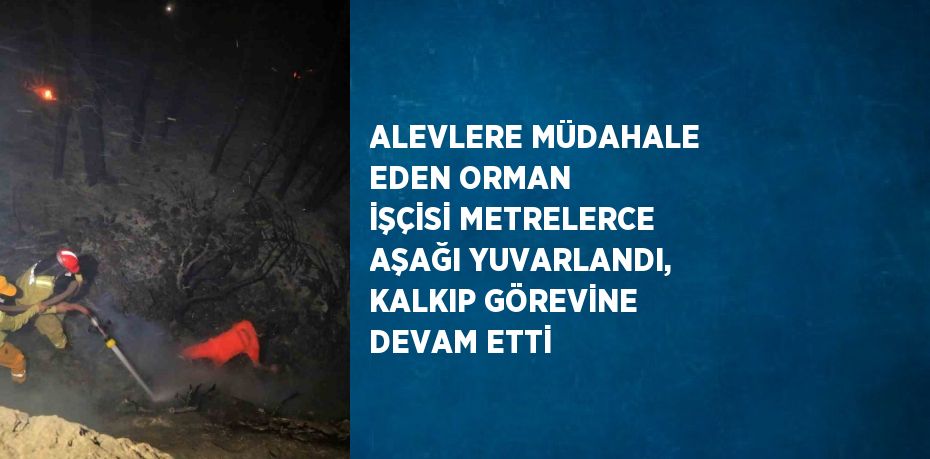 ALEVLERE MÜDAHALE EDEN ORMAN İŞÇİSİ METRELERCE AŞAĞI YUVARLANDI, KALKIP GÖREVİNE DEVAM ETTİ