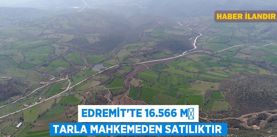 Edremit'te 16.566 m² tarla mahkemeden satılıktır