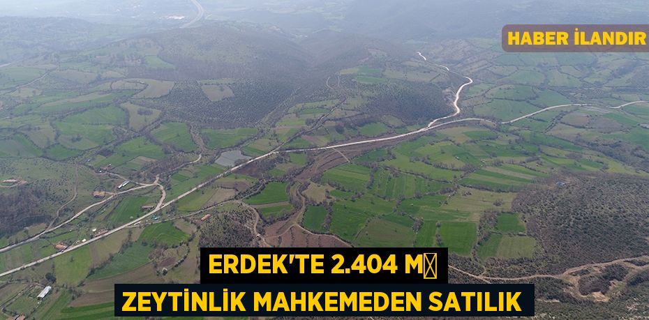 Erdek'te 2.404 m² zeytinlik mahkemeden satılık