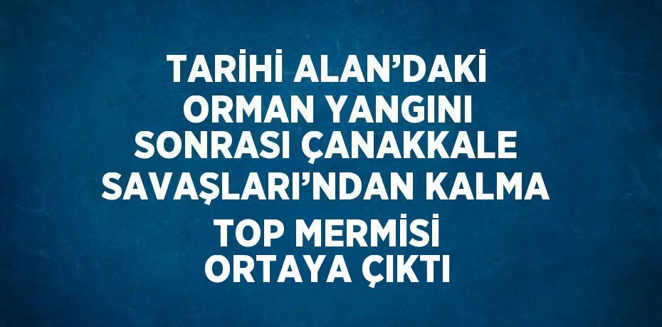 TARİHİ ALAN’DAKİ ORMAN YANGINI SONRASI ÇANAKKALE SAVAŞLARI’NDAN KALMA TOP MERMİSİ ORTAYA ÇIKTI