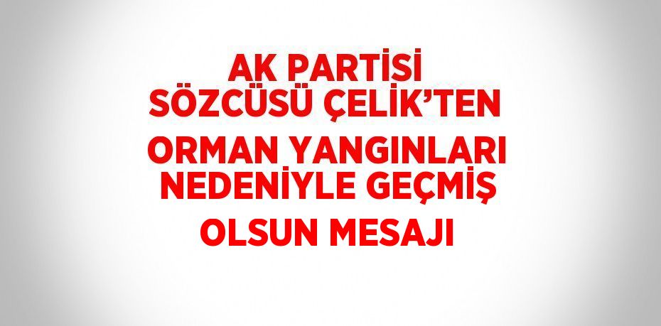 AK PARTİSİ SÖZCÜSÜ ÇELİK’TEN ORMAN YANGINLARI NEDENİYLE GEÇMİŞ OLSUN MESAJI