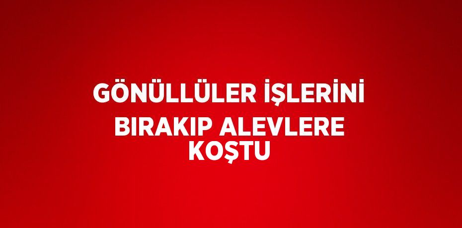 GÖNÜLLÜLER İŞLERİNİ BIRAKIP ALEVLERE KOŞTU