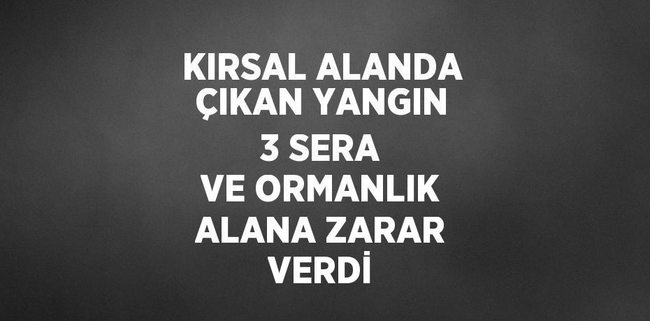 KIRSAL ALANDA ÇIKAN YANGIN 3 SERA VE ORMANLIK ALANA ZARAR VERDİ