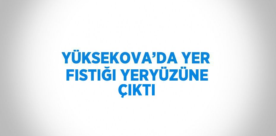 YÜKSEKOVA’DA YER FISTIĞI YERYÜZÜNE ÇIKTI