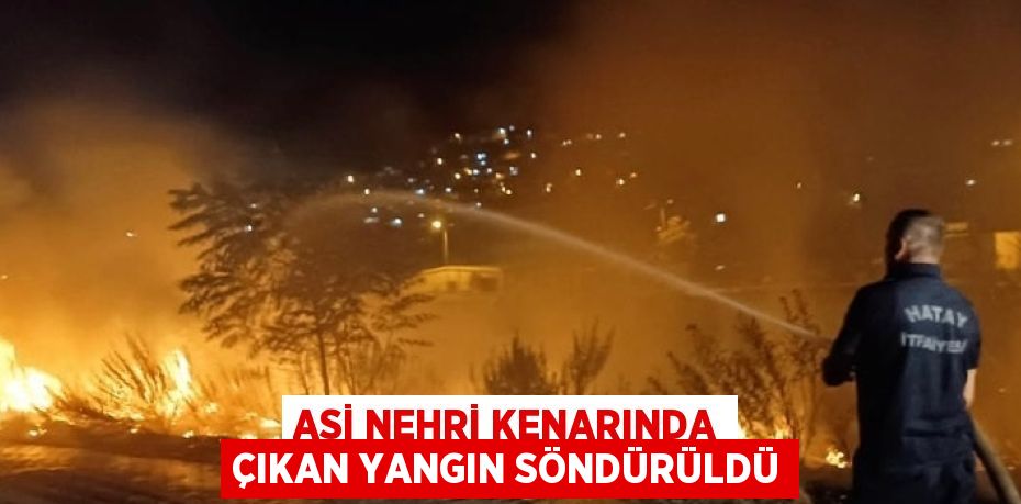 ASİ NEHRİ KENARINDA ÇIKAN YANGIN SÖNDÜRÜLDÜ