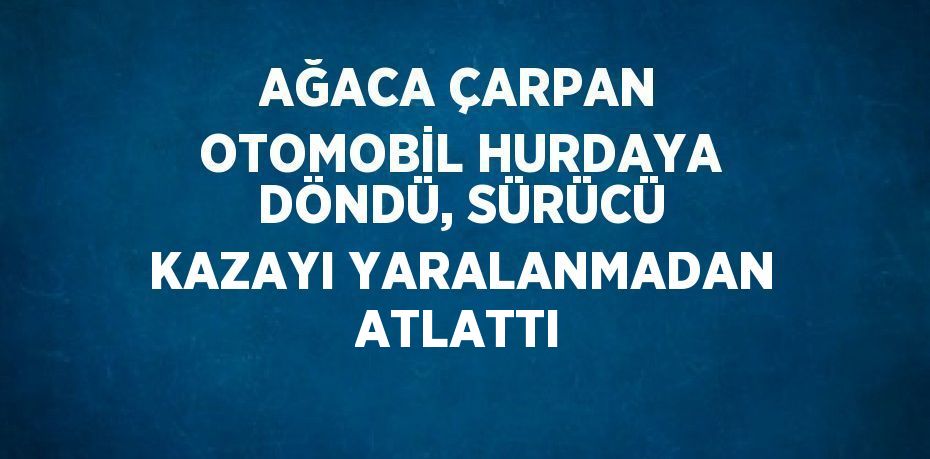 AĞACA ÇARPAN OTOMOBİL HURDAYA DÖNDÜ, SÜRÜCÜ KAZAYI YARALANMADAN ATLATTI